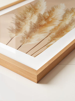 Pampasgras Beige Textur