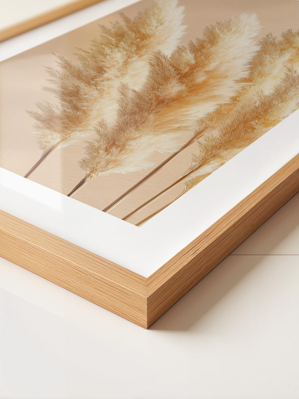 Pampasgras Beige Textur
