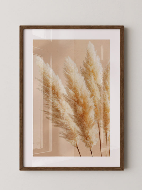 Pampasgras Beige Textur
