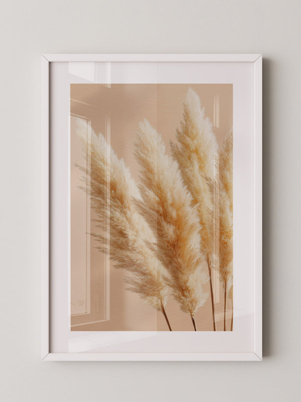 Pampasgras Beige Textur