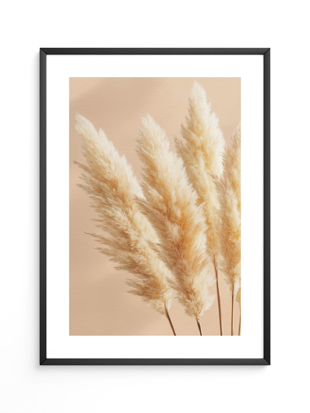 Pampasgras Beige Textur