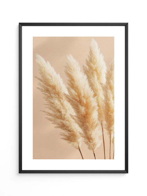 Pampasgras Beige Textur