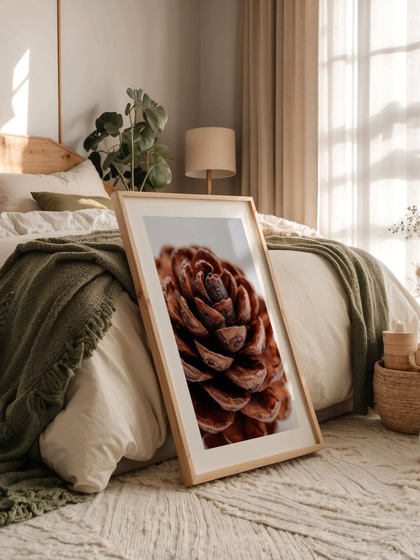 Zapfen Nahaufnahme Holzstruktur