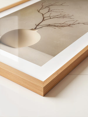 Äste in Kugelvase Minimalistisch