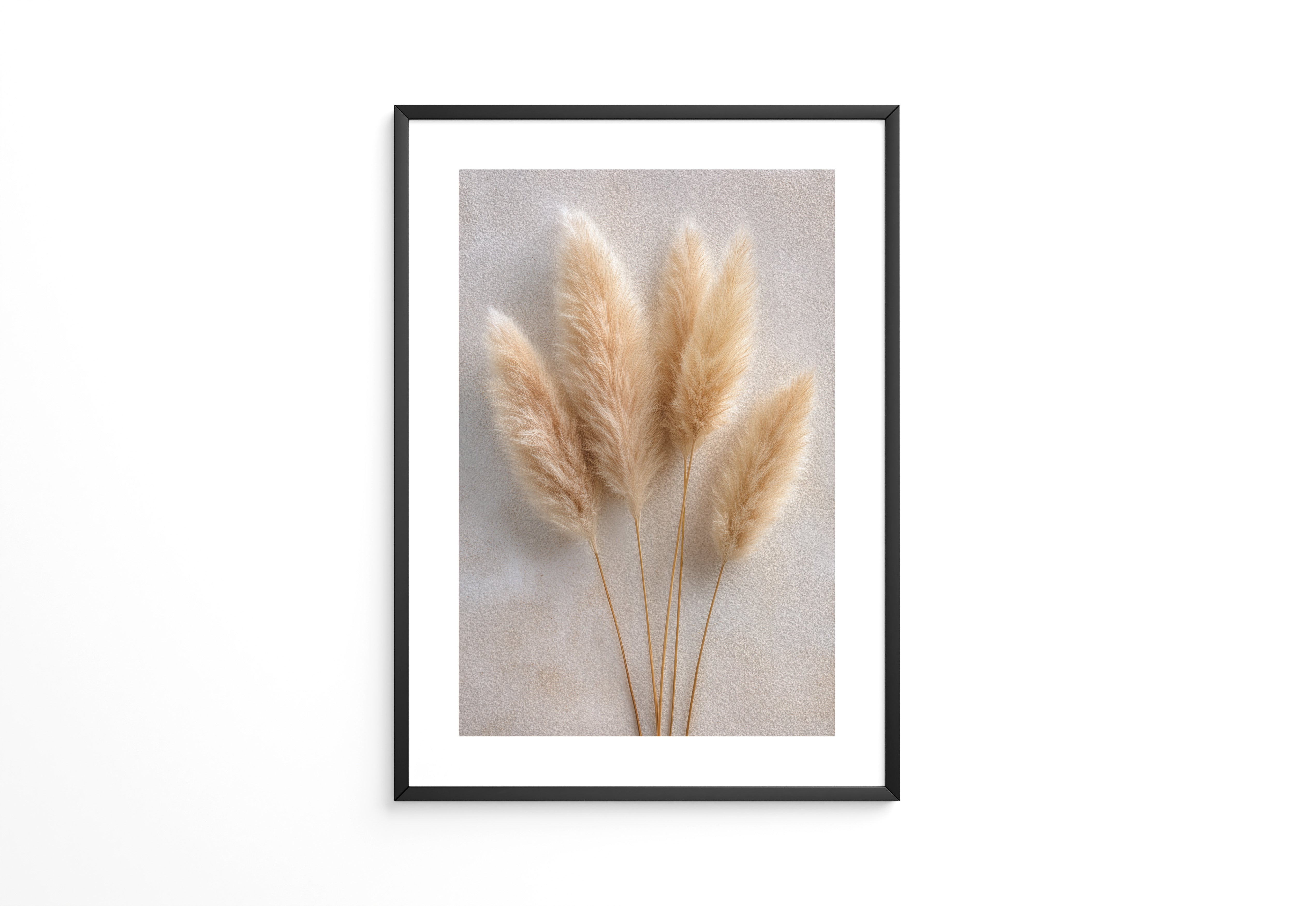 Pampasgras Beige sanft