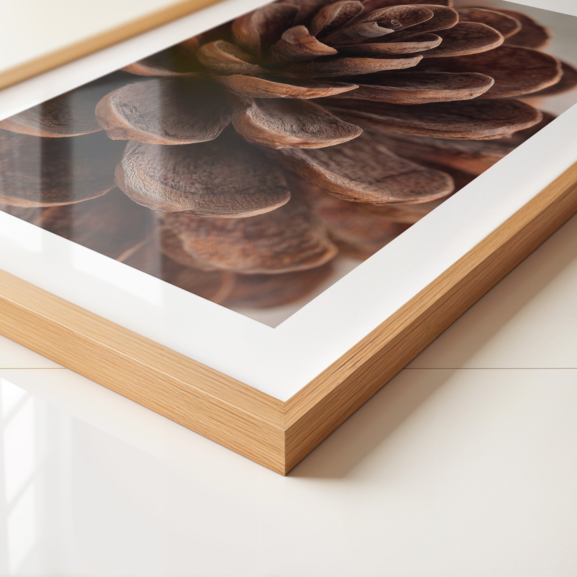 Zapfen Close-up Detailansicht