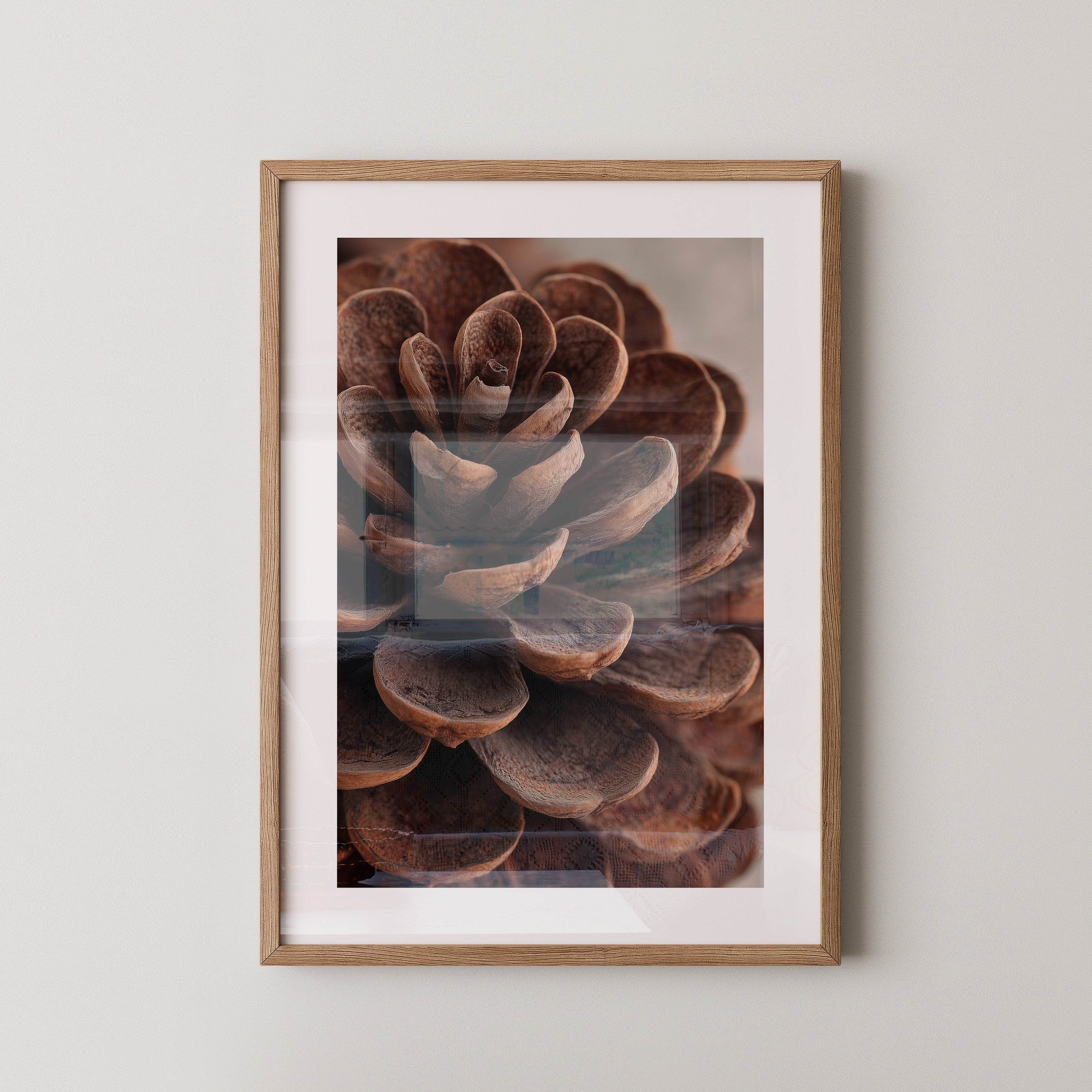 Zapfen Close-up Detailansicht