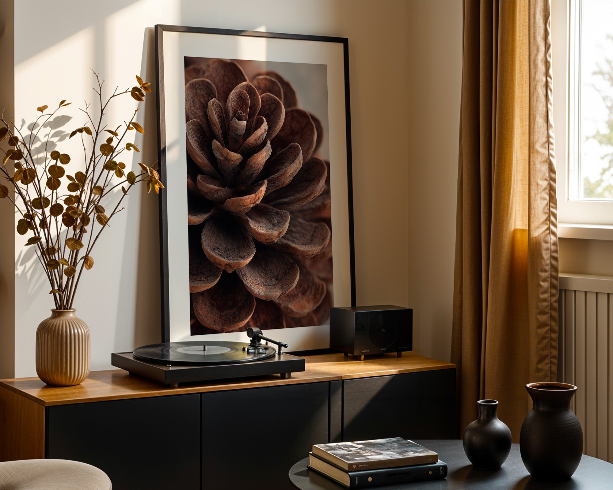 Zapfen Close-up Detailansicht