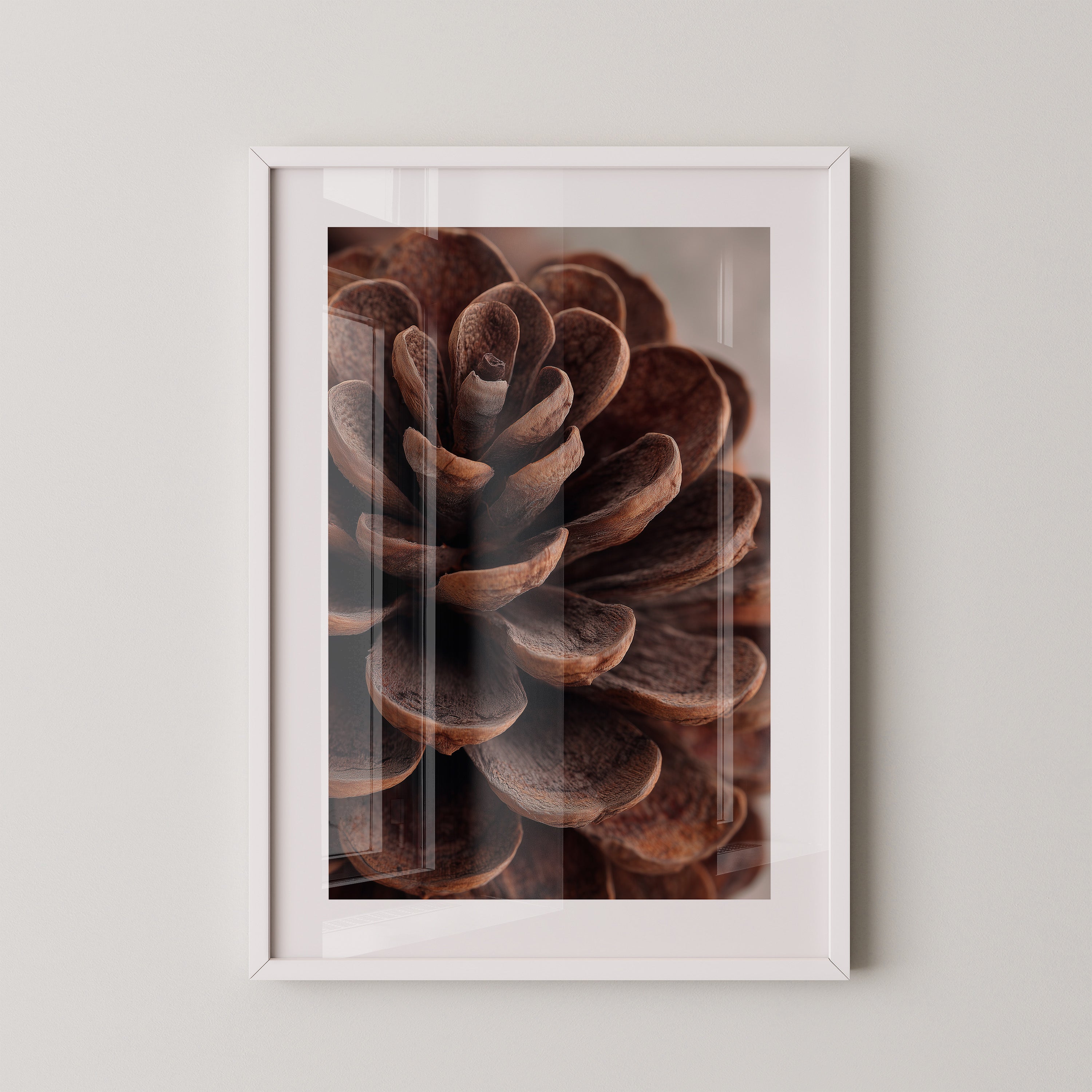 Zapfen Close-up Detailansicht