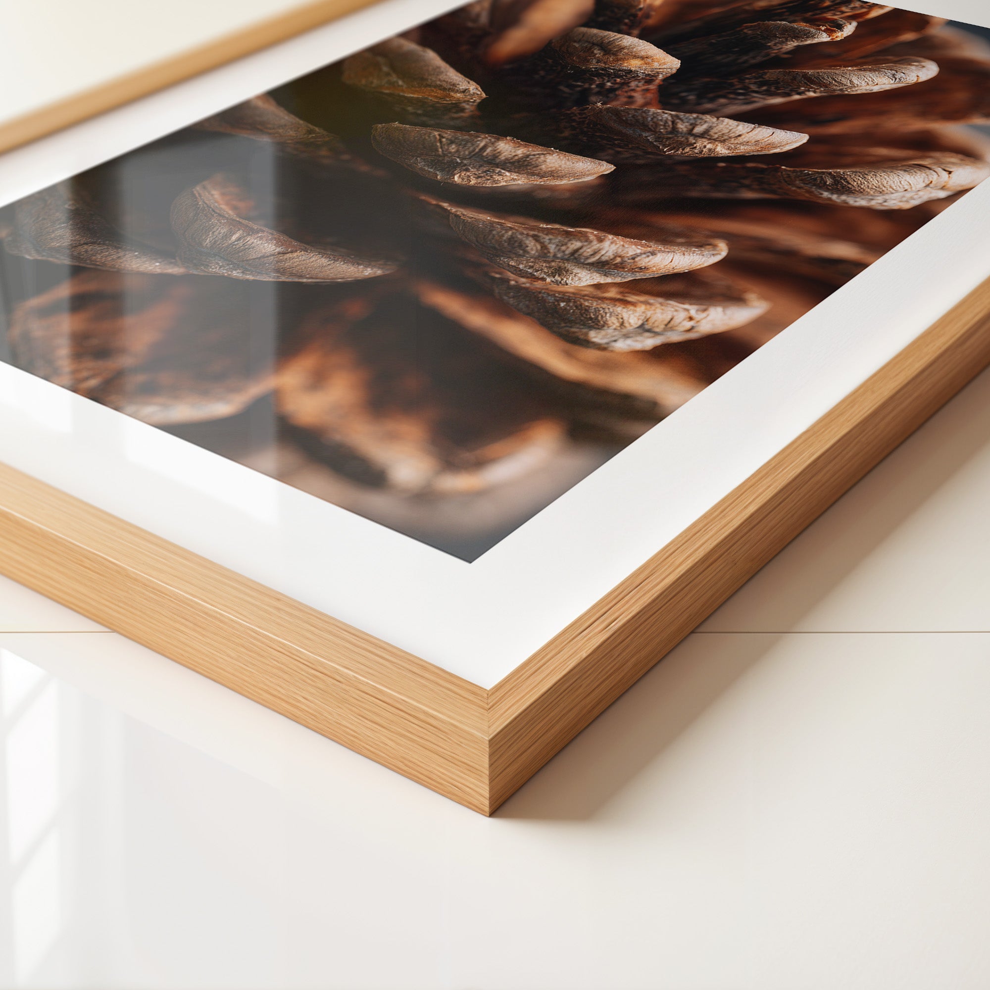 Zapfen Makro Naturtöne