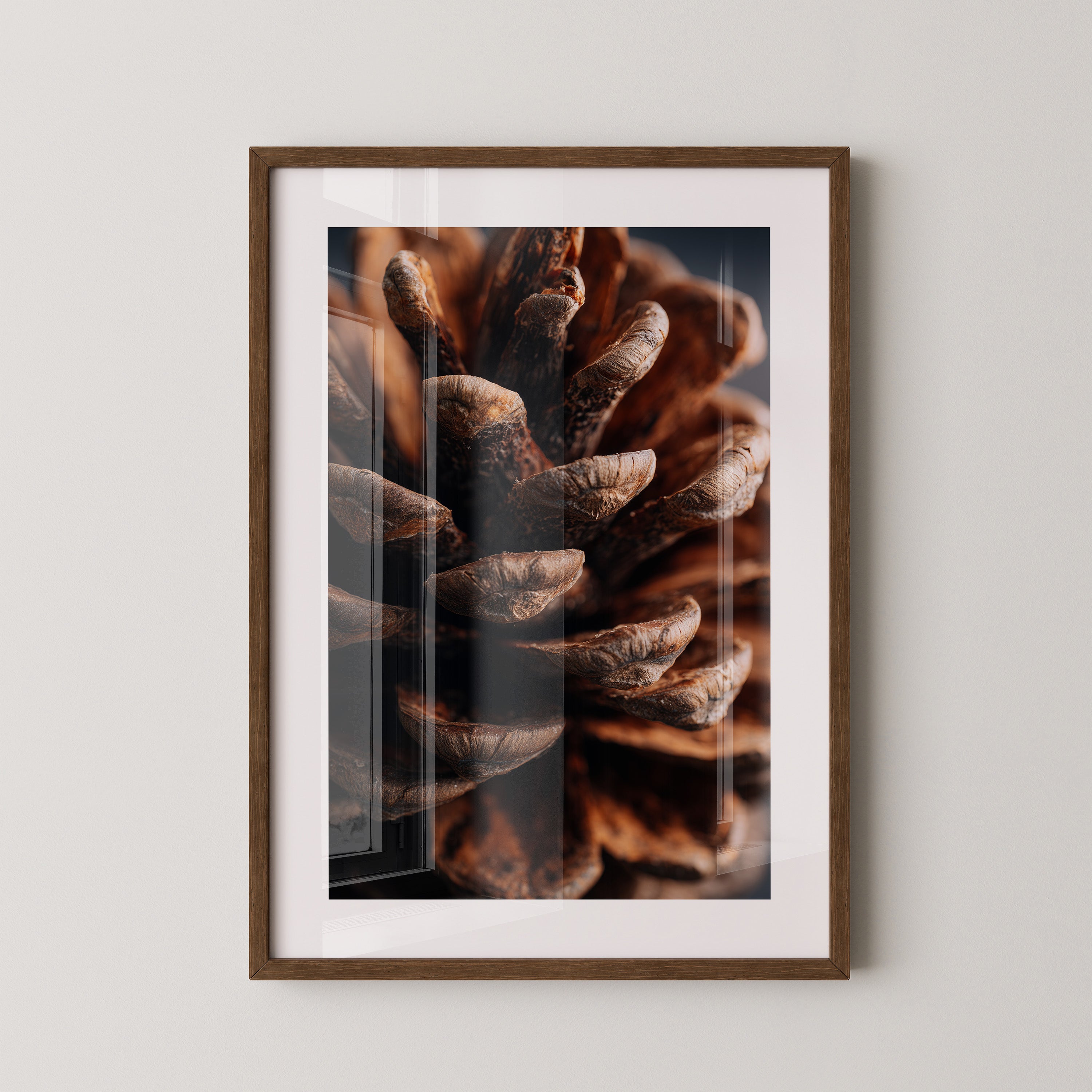 Zapfen Makro Naturtöne