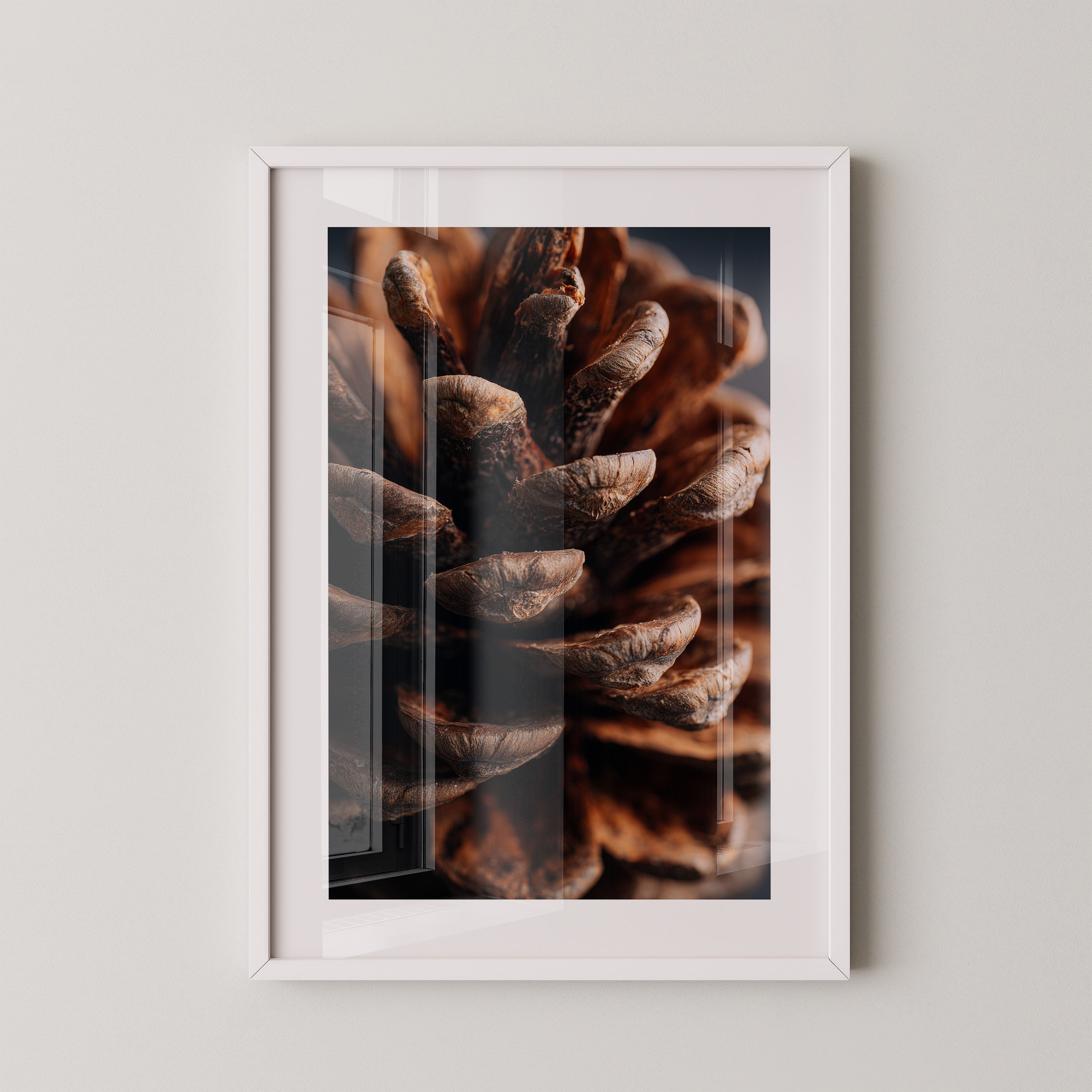 Zapfen Makro Naturtöne