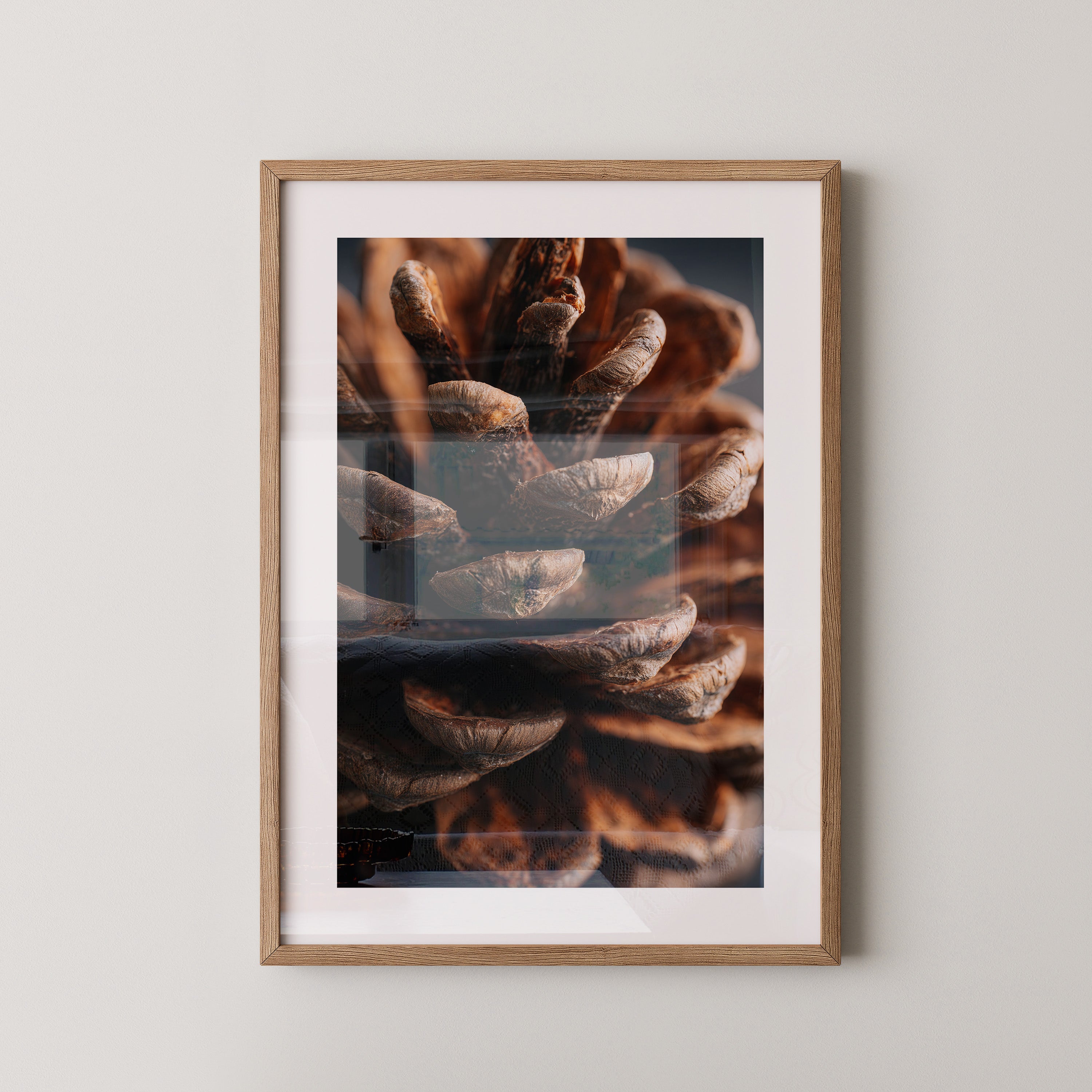 Zapfen Makro Naturtöne