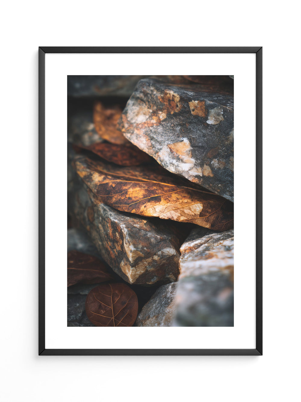 Stein Felsen Struktur Herbstlaub