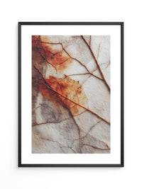 Herbstblatt Struktur Vintage