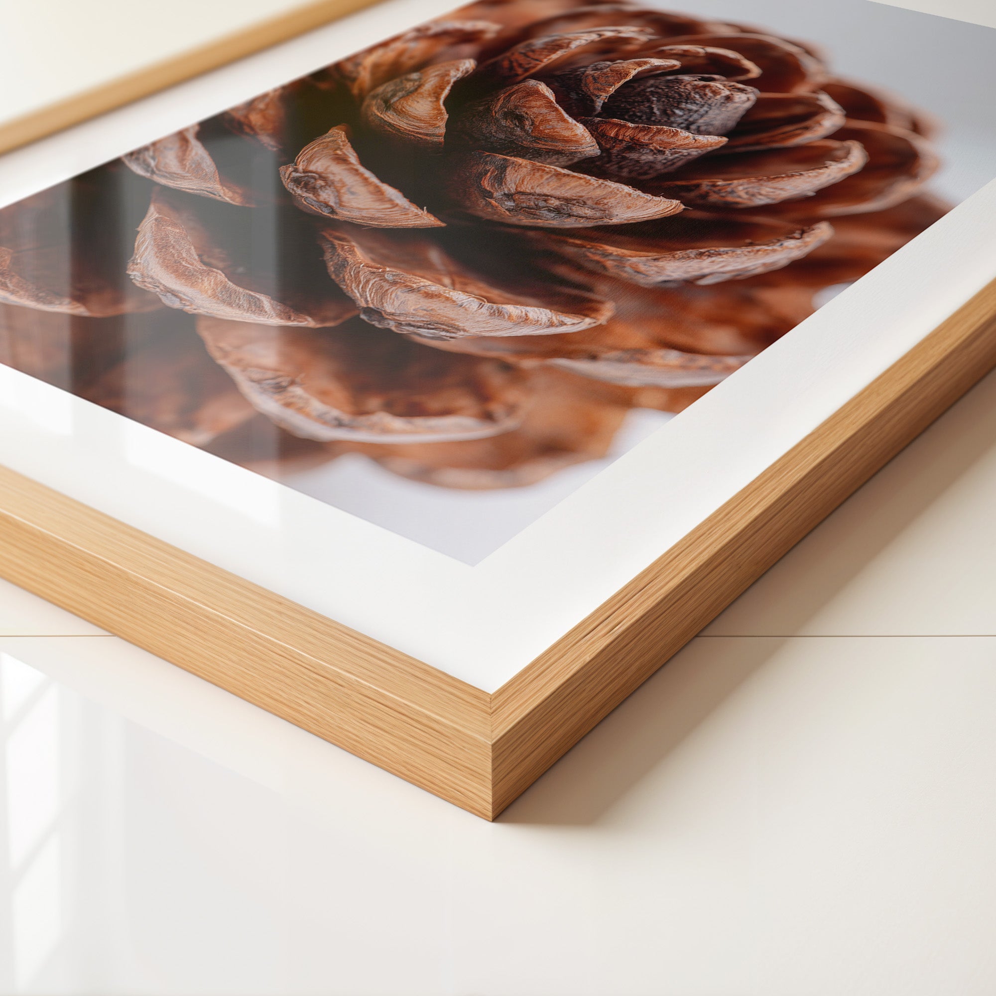 Tannenzapfen Makroaufnahme Braun