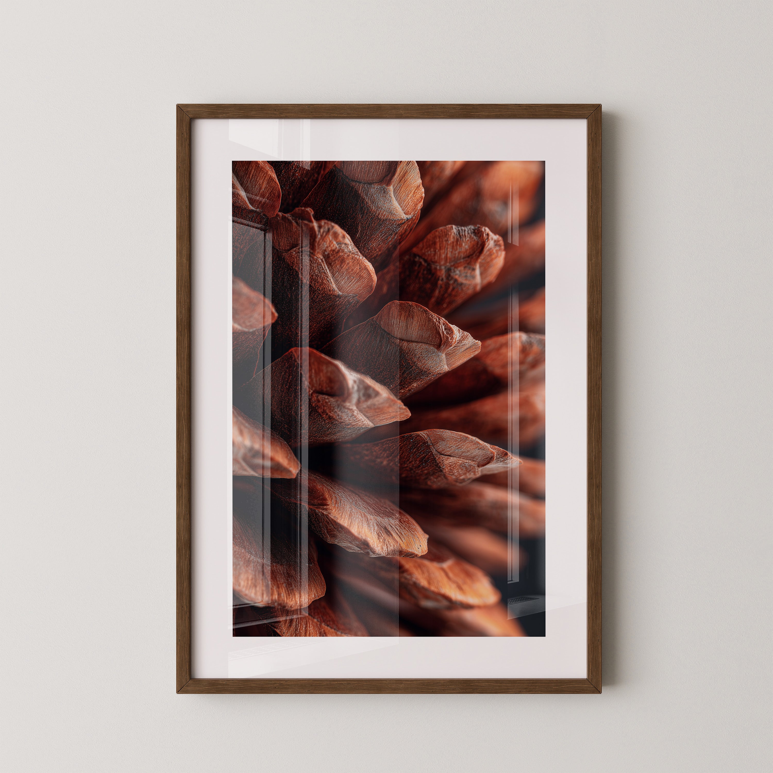 Zapfen Nahaufnahme Braun