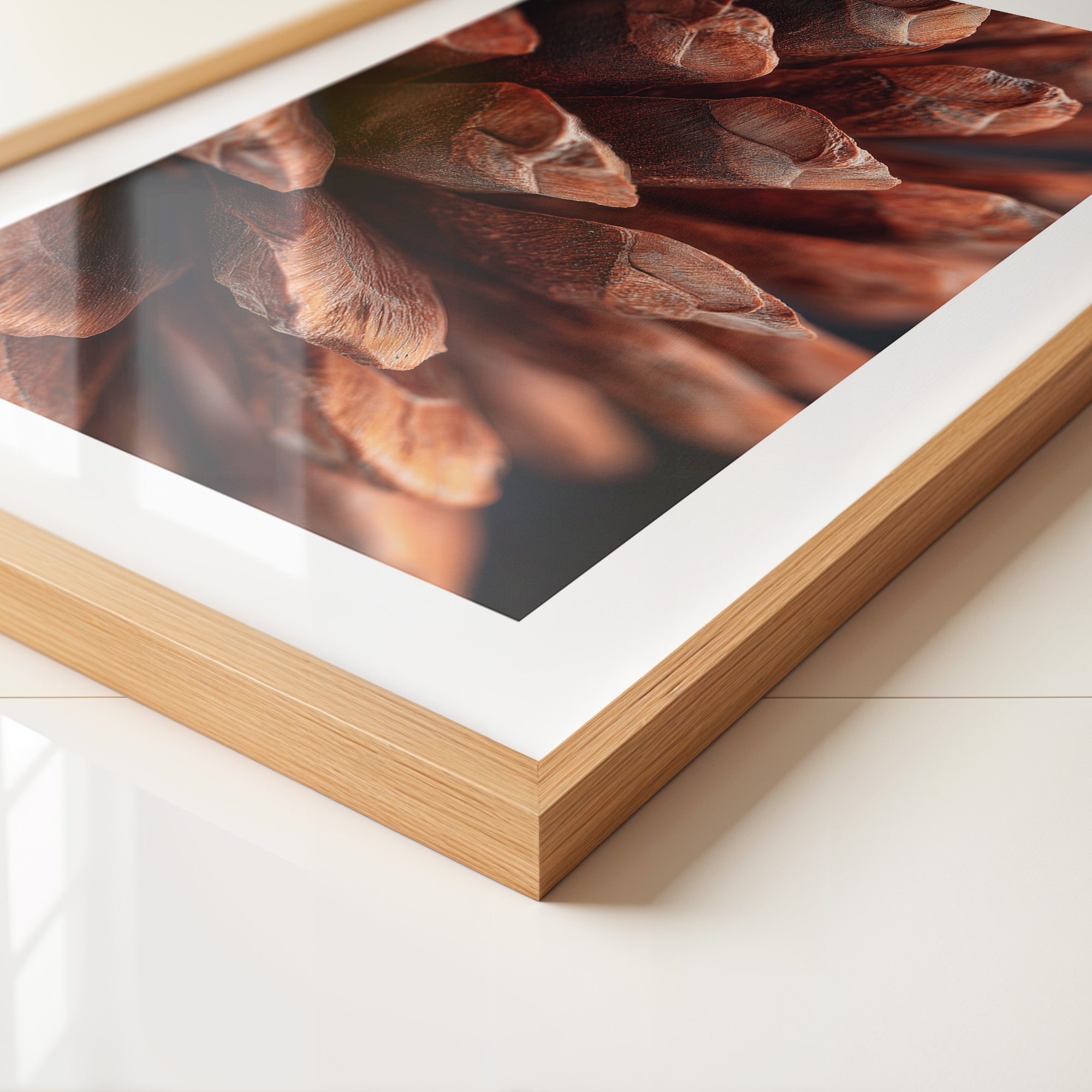 Zapfen Nahaufnahme Braun