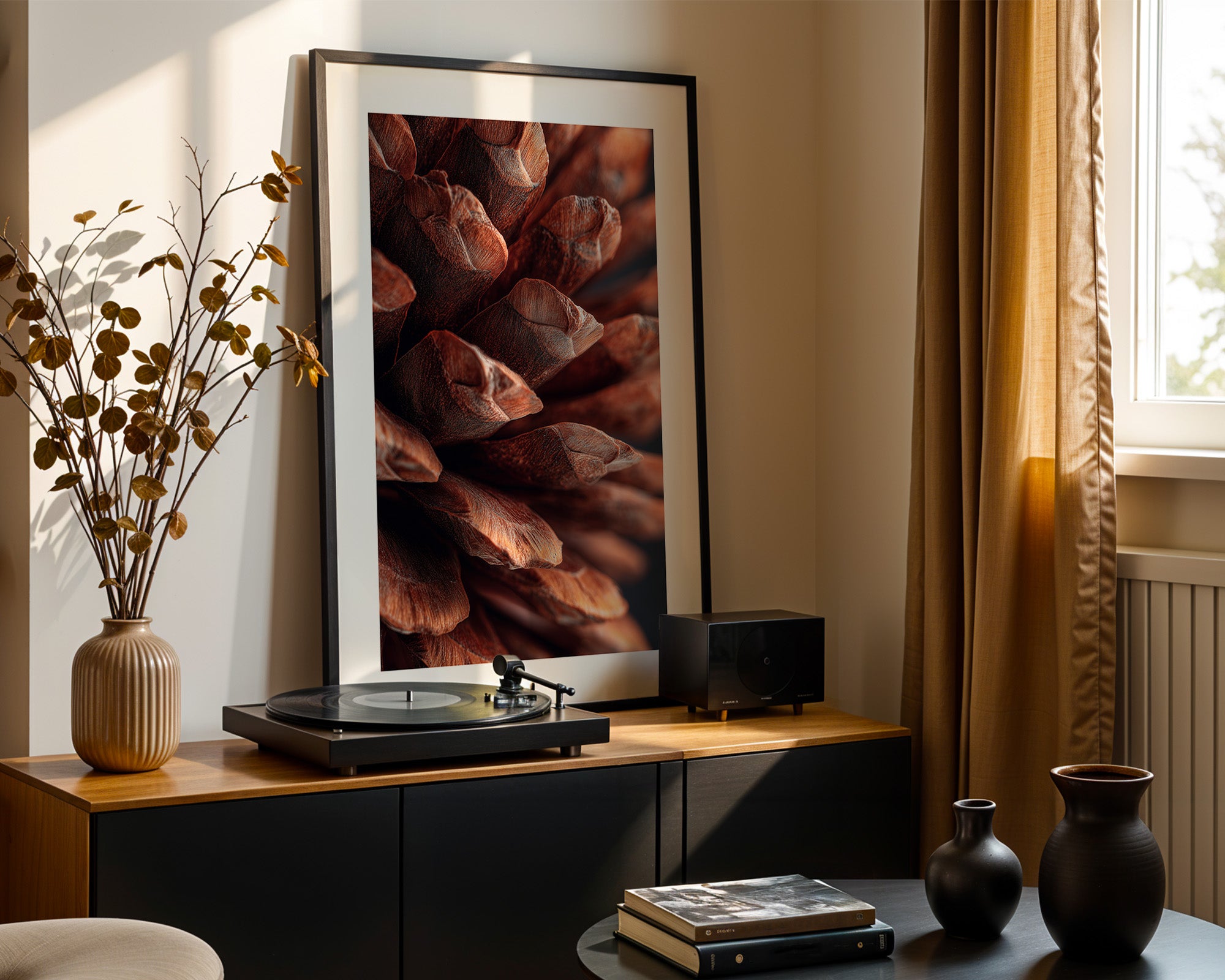 Zapfen Nahaufnahme Braun