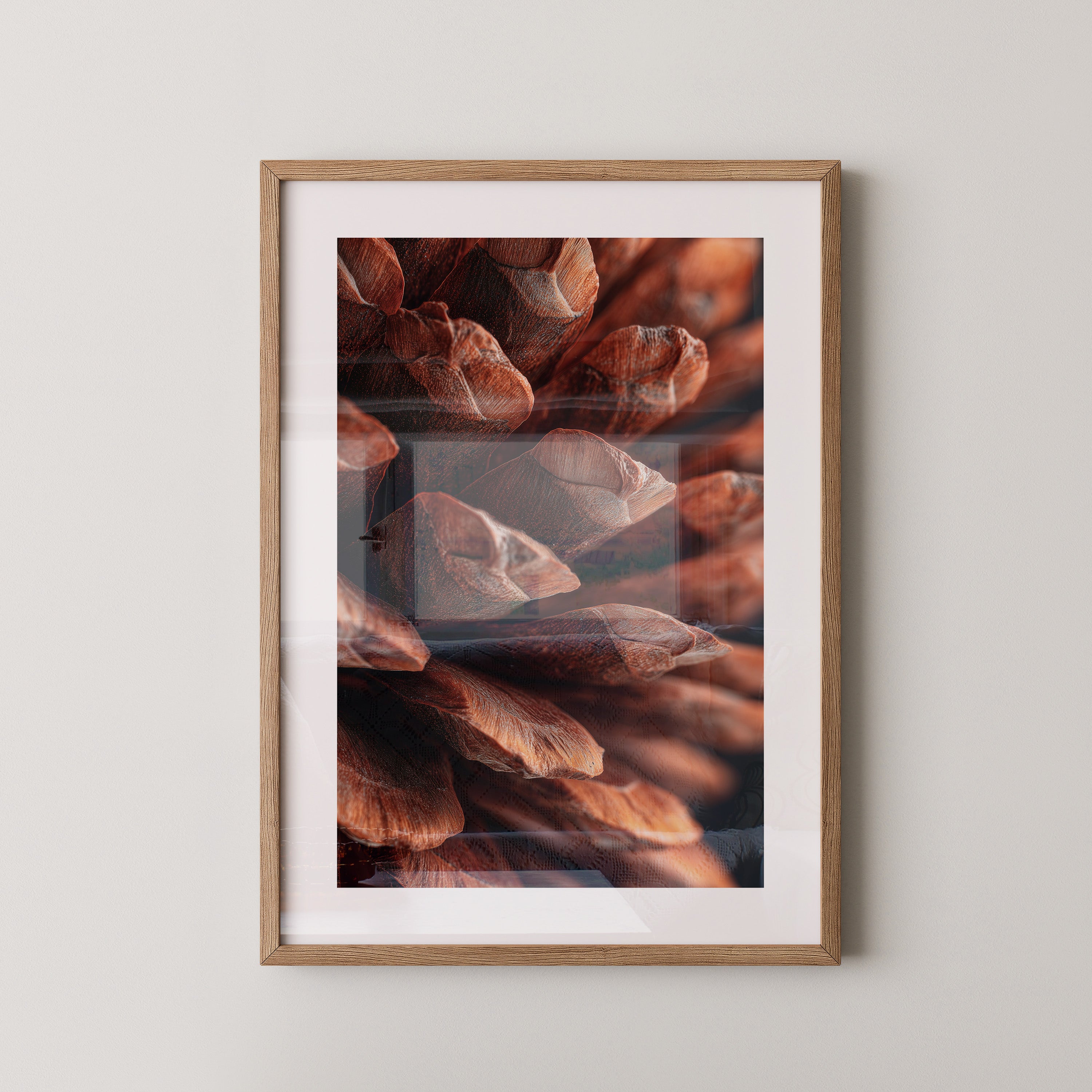 Zapfen Nahaufnahme Braun