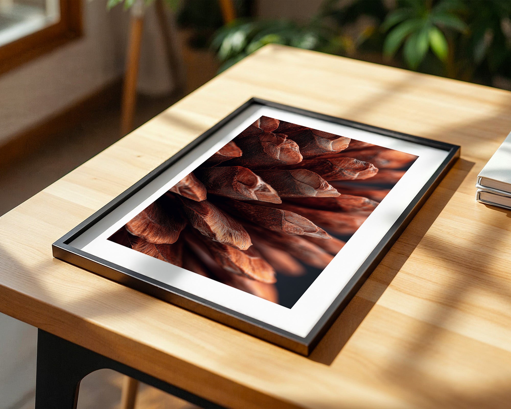 Zapfen Nahaufnahme Braun