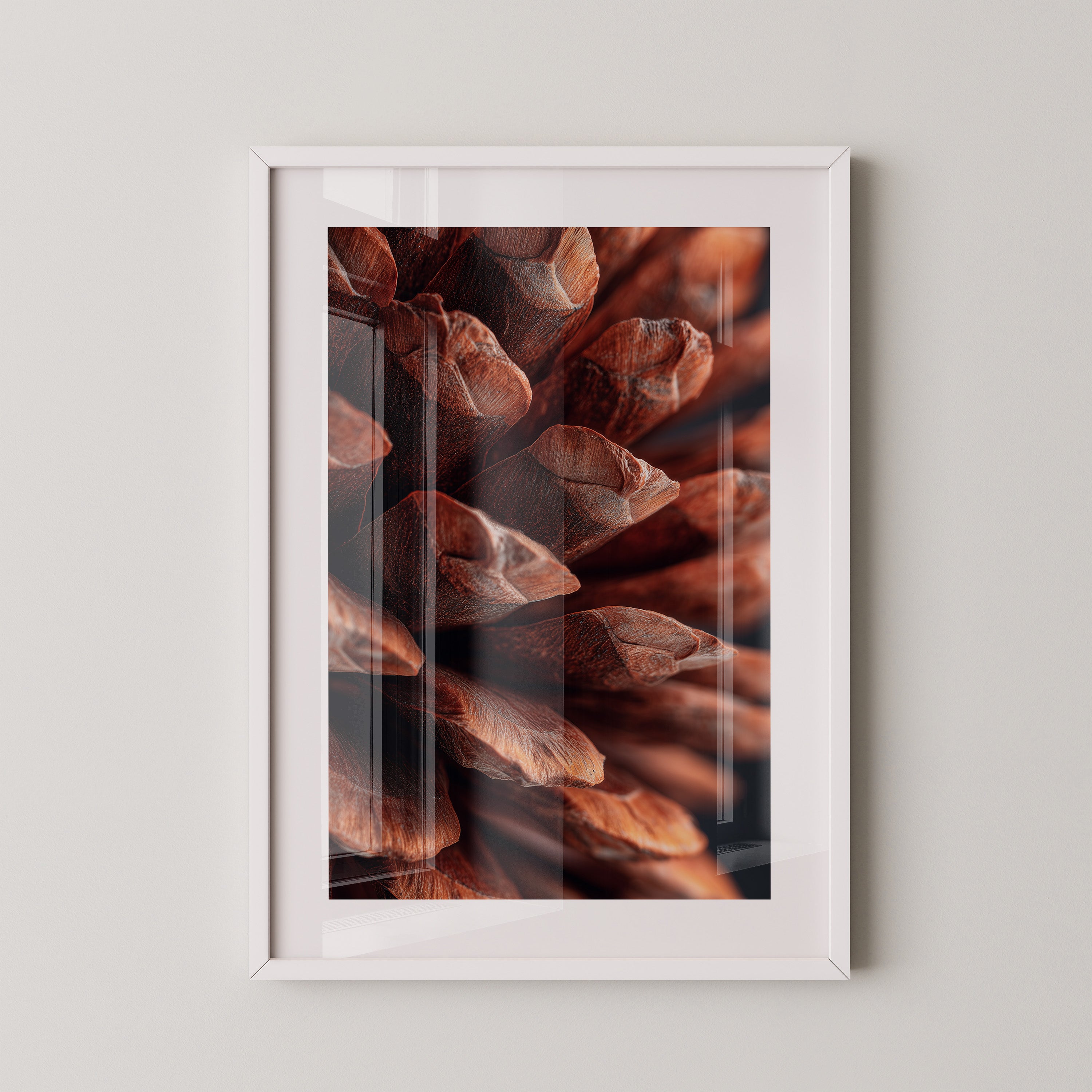 Zapfen Nahaufnahme Braun