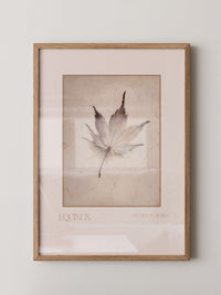 Ahornblatt Vintage Natur