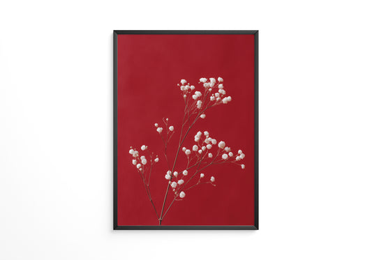 Weiße Blütenzweige auf Rot