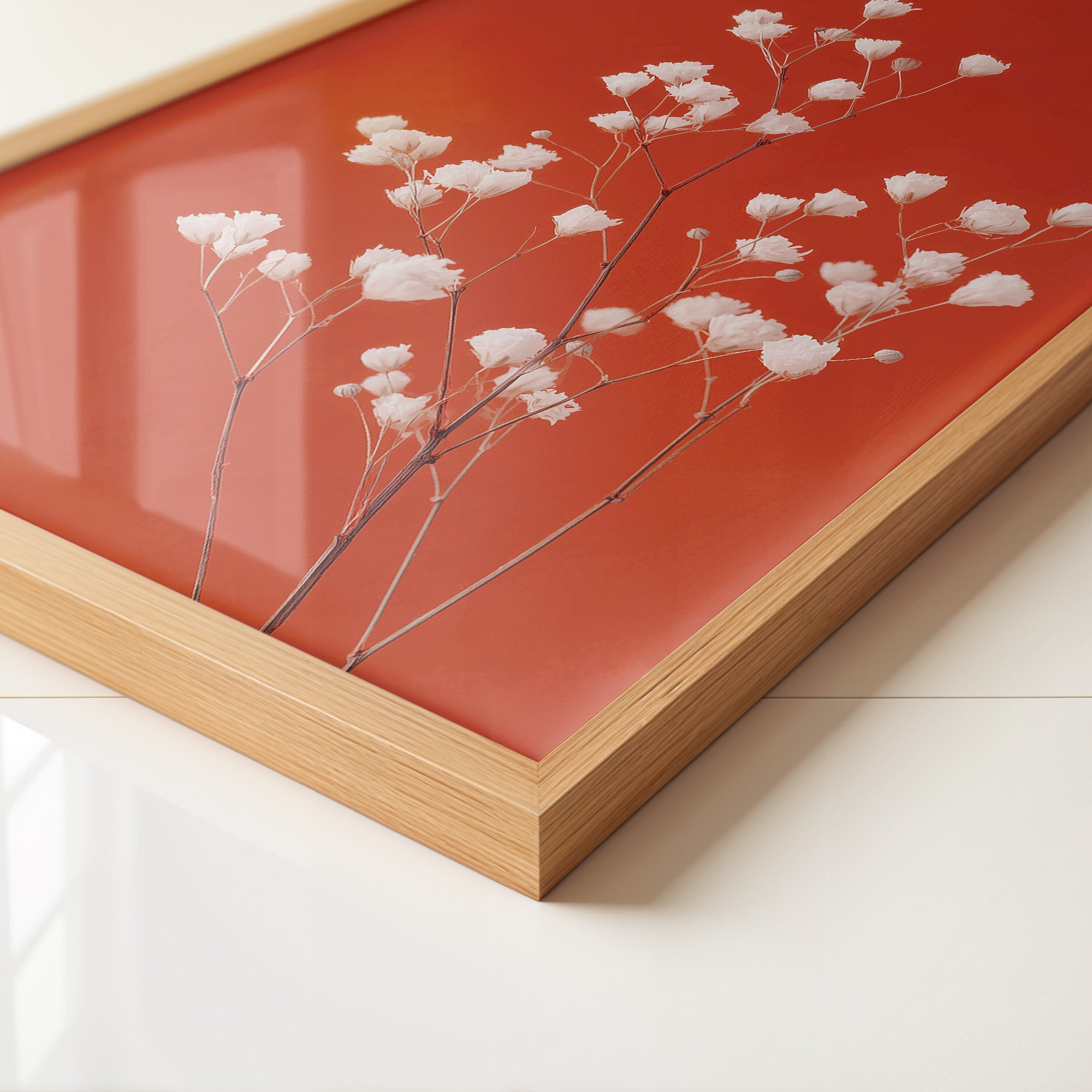 Gipskraut Rot Kontrast