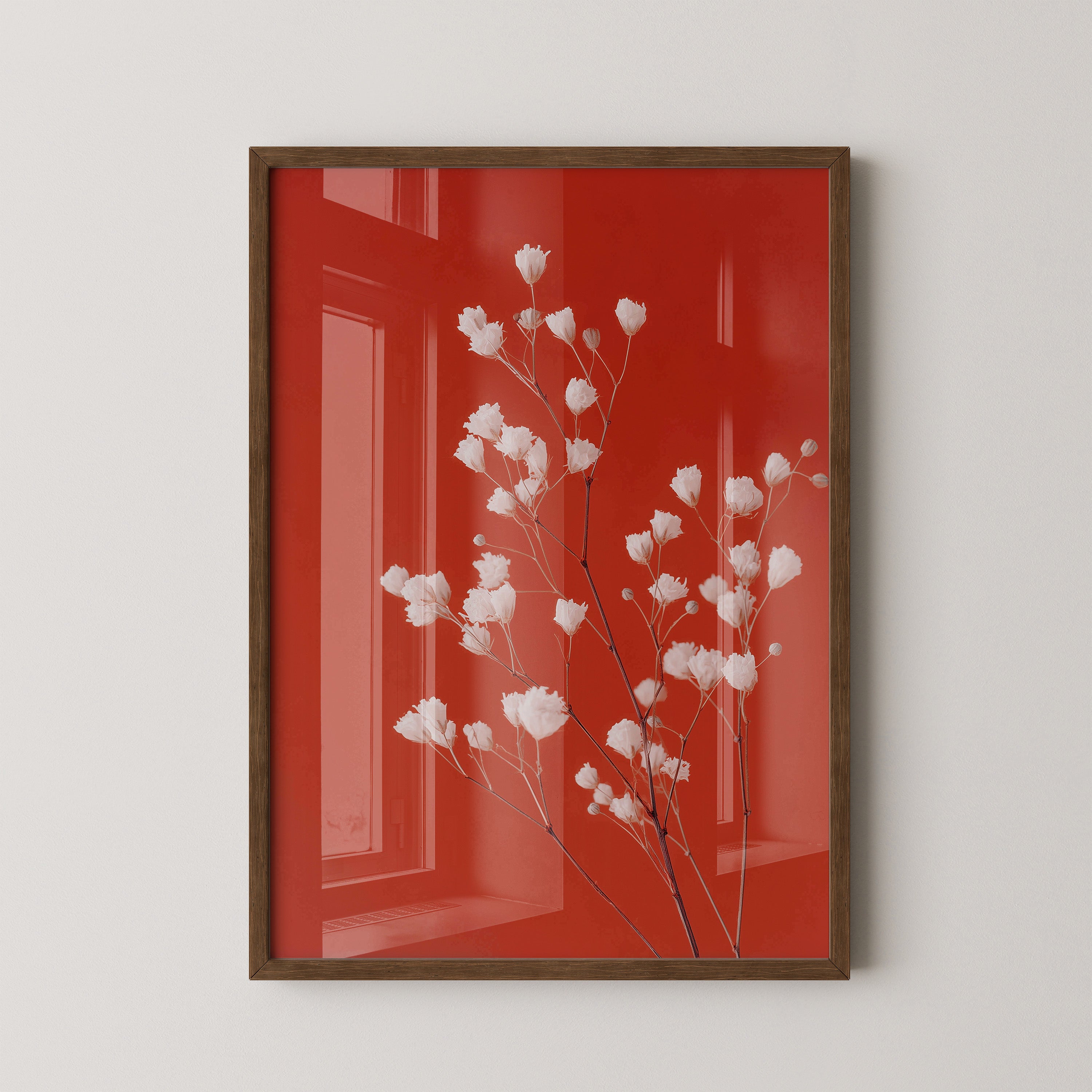 Gipskraut Rot Kontrast