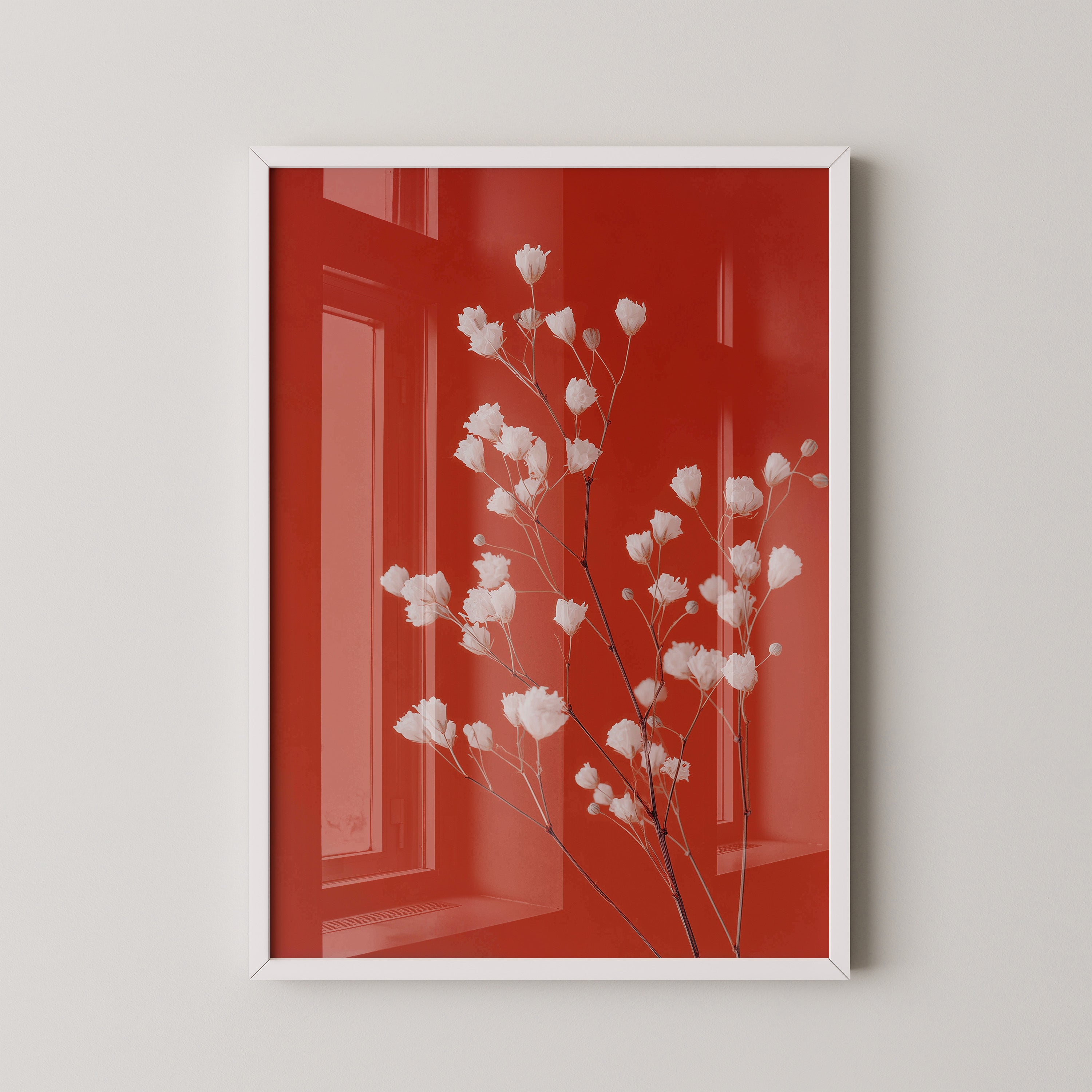 Gipskraut Rot Kontrast