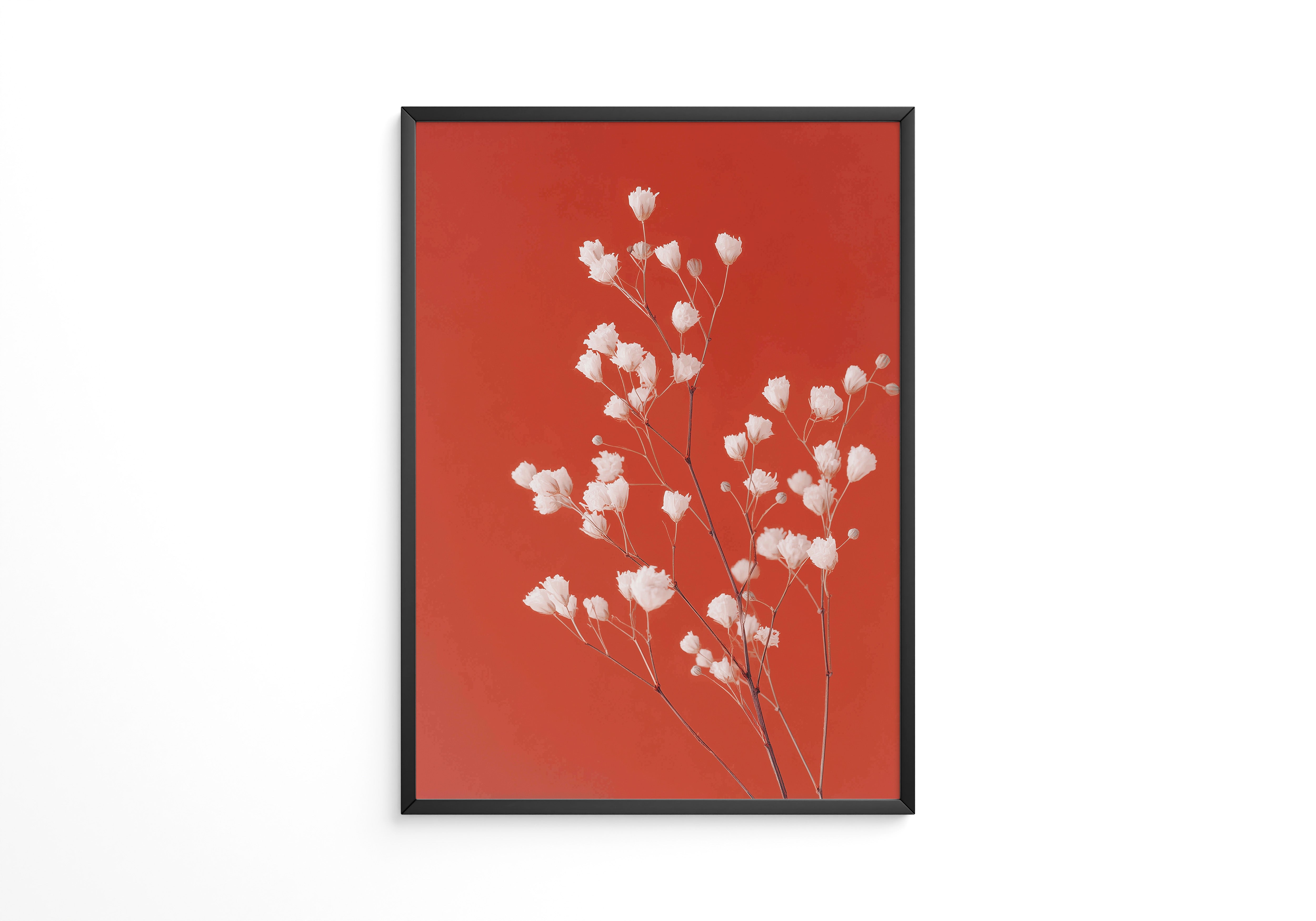 Gipskraut Rot Kontrast