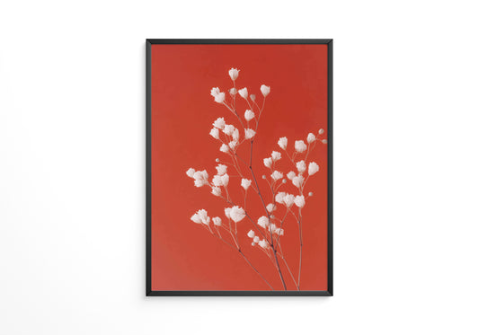 Gipskraut Rot Kontrast