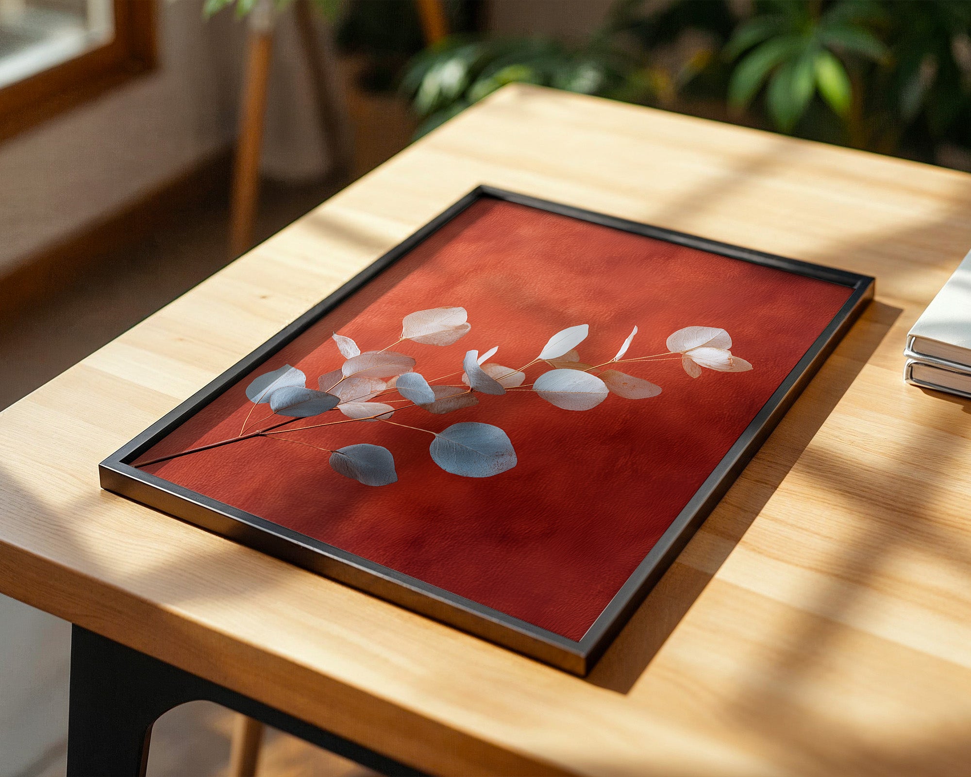 Eukalyptus rote Wand