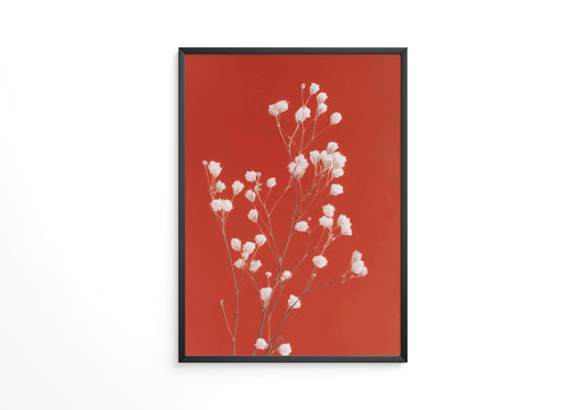 Weiße Blüten Roter Hintergrund