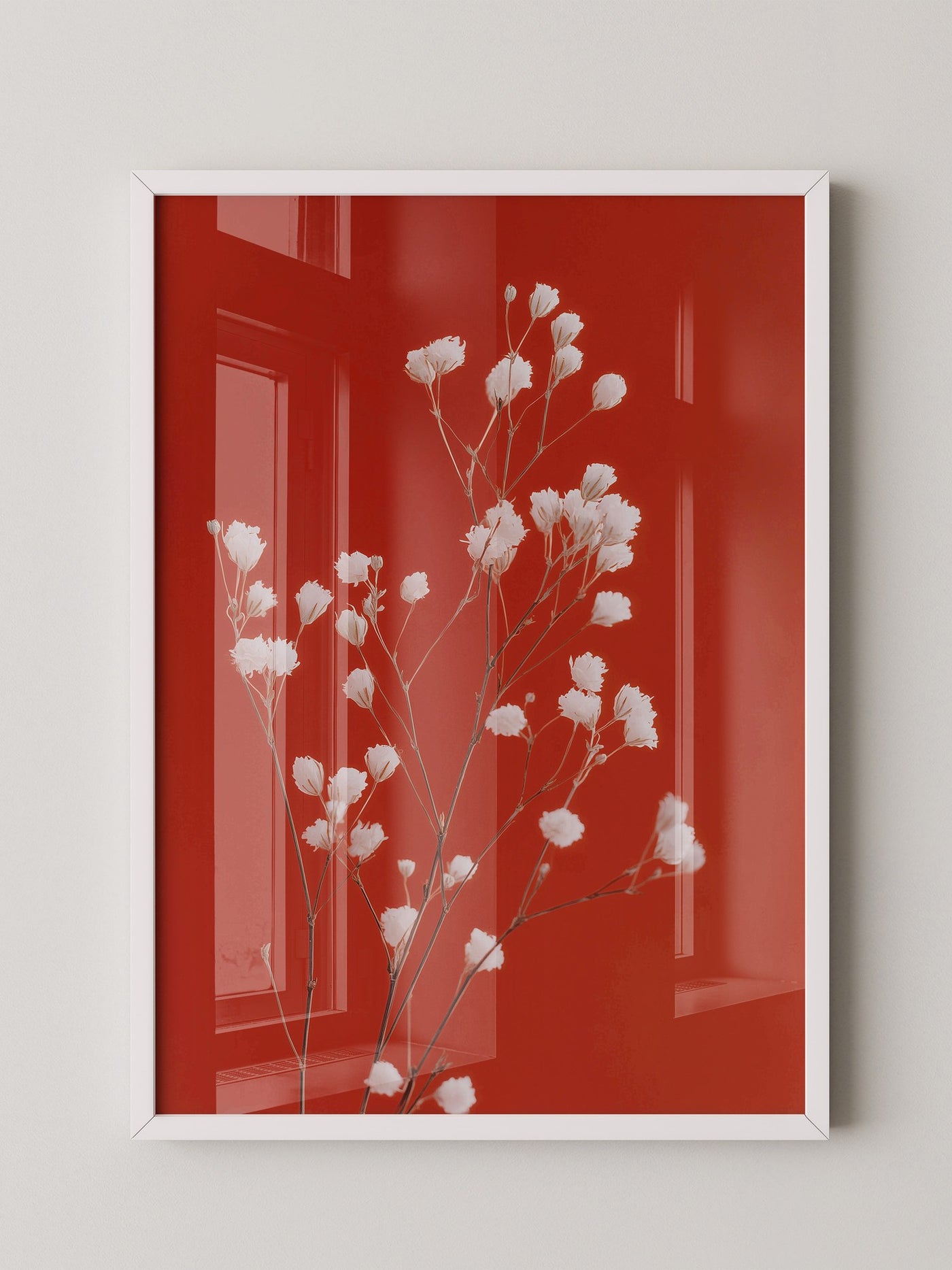 Weiße Blüten Roter Hintergrund