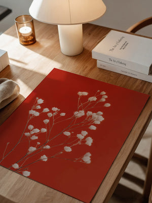 Weiße Blüten Roter Hintergrund