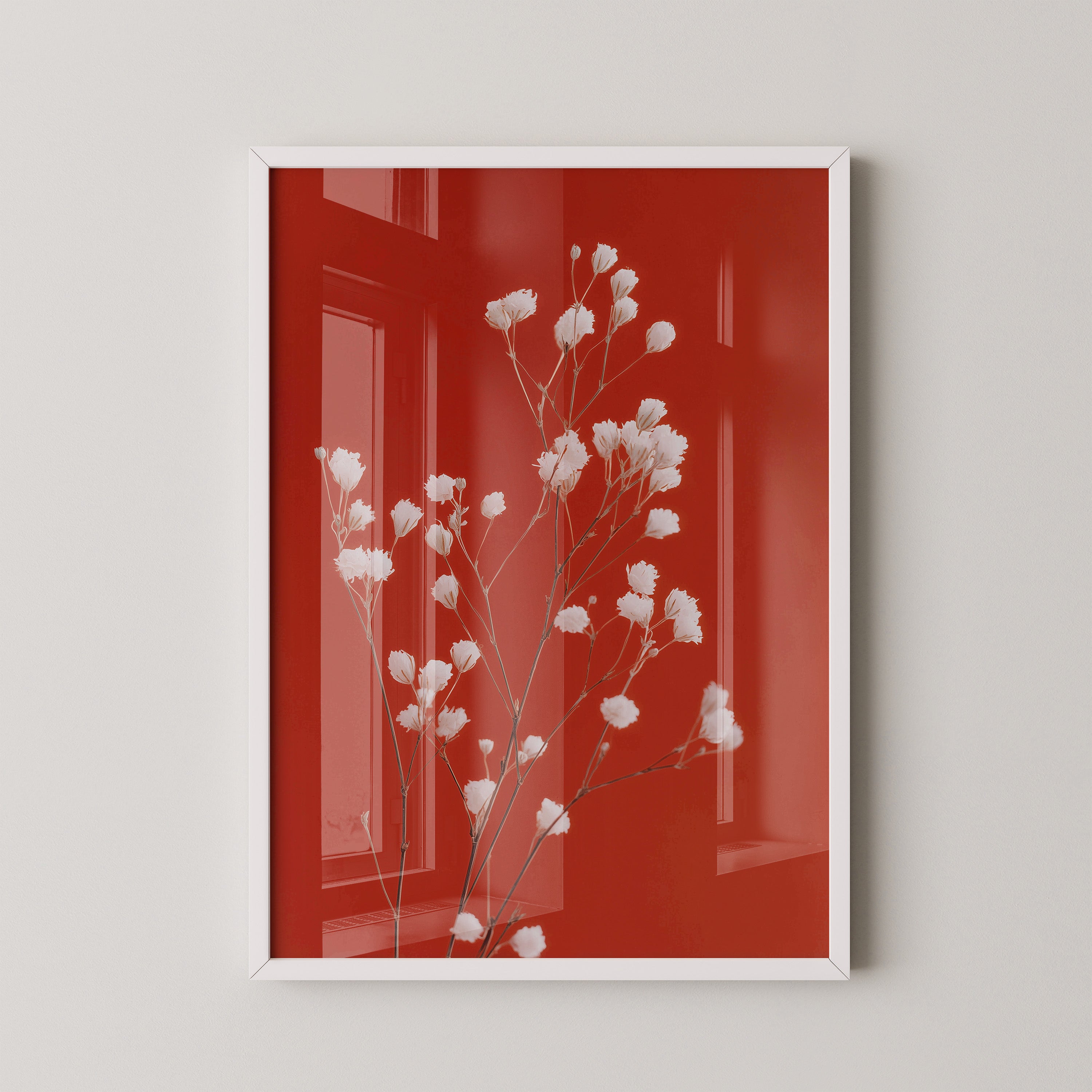 Weiße Blüten Roter Hintergrund