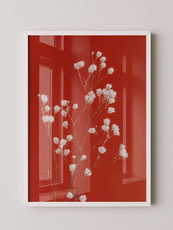 Weiße Blüten Roter Hintergrund