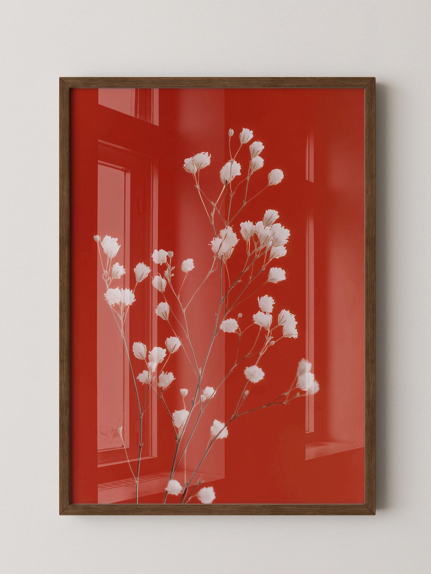 Weiße Blüten Roter Hintergrund