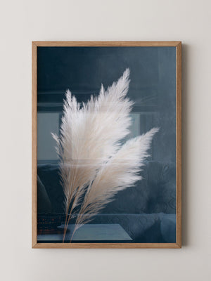 Pampasgras sanft auf Dunkelblau