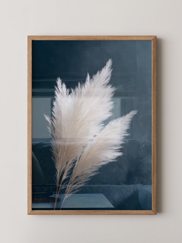 Pampasgras sanft auf Dunkelblau