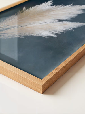 Pampasgras sanft auf Dunkelblau