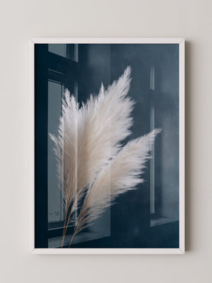 Pampasgras sanft auf Dunkelblau