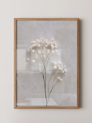 Gipskraut Zweige minimalistisch