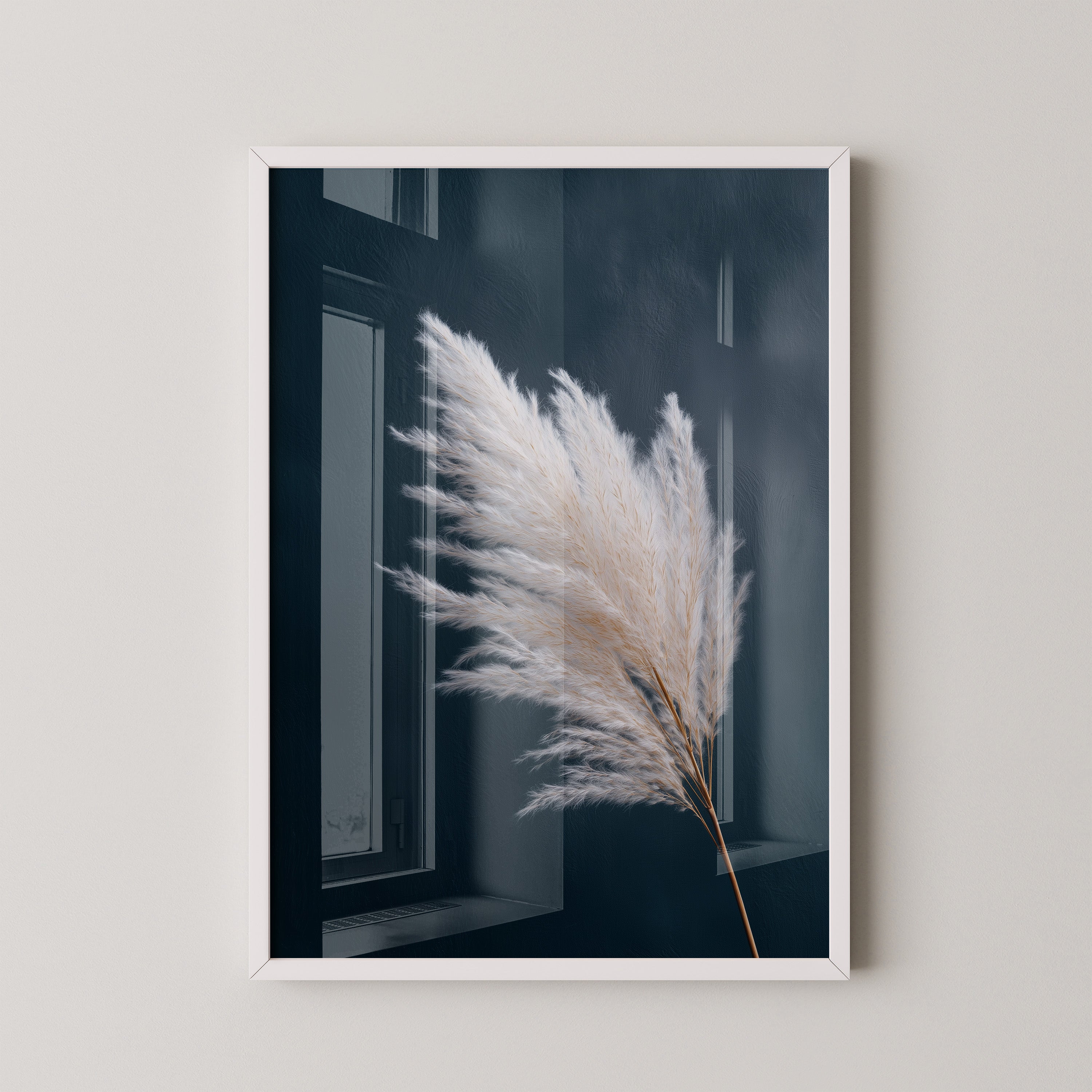 Pampasgras Eleganz Blau