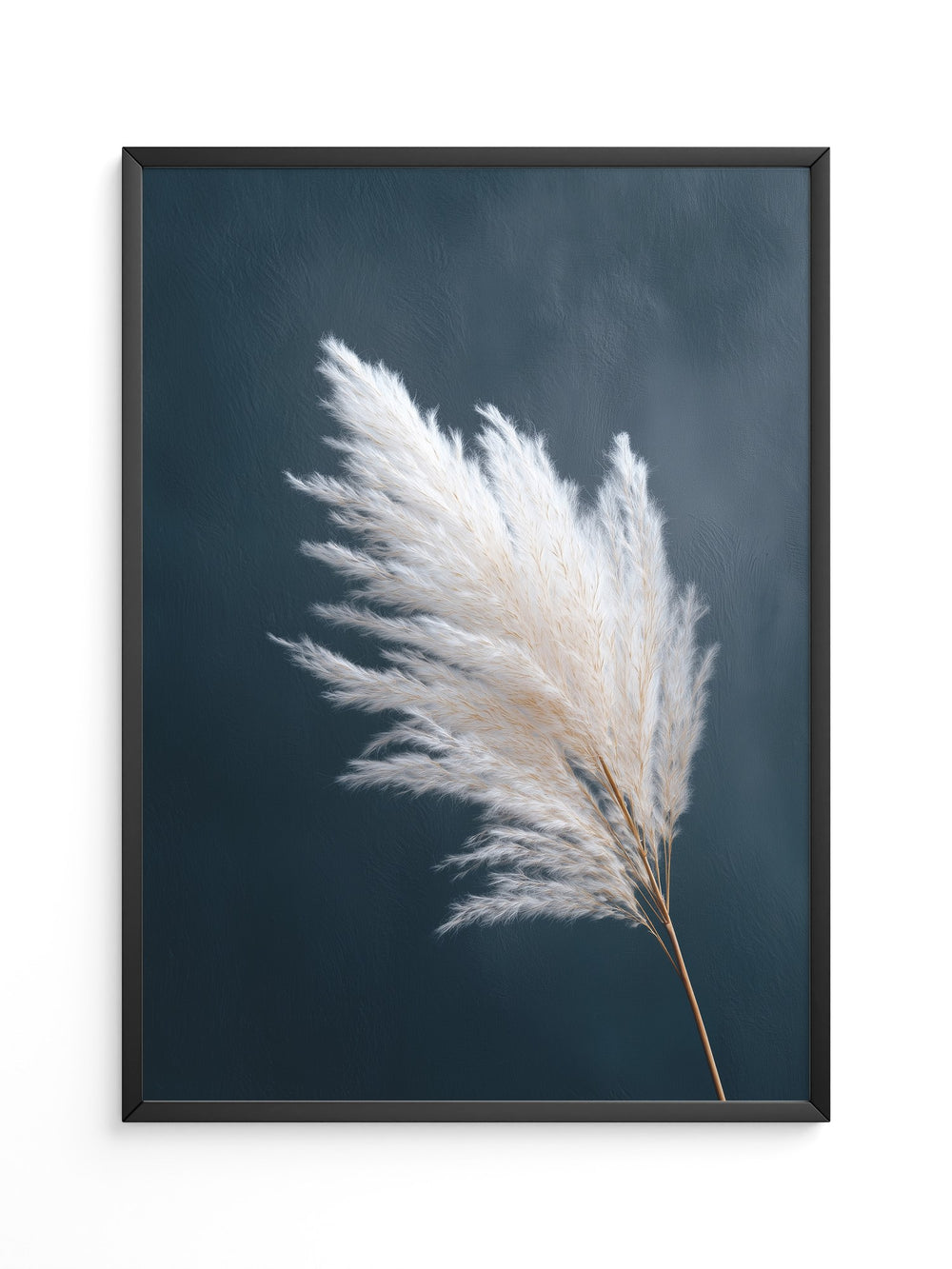 Pampasgras Eleganz Blau