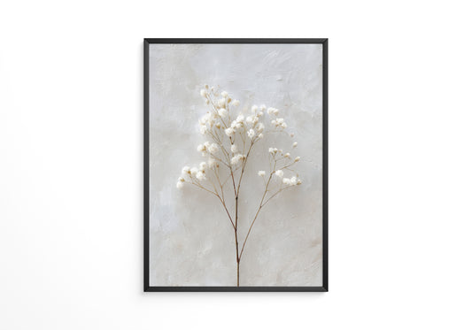 Weiße Trockenblumen Textur