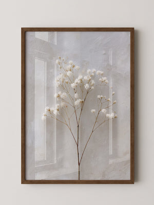 Weiße Trockenblumen Textur