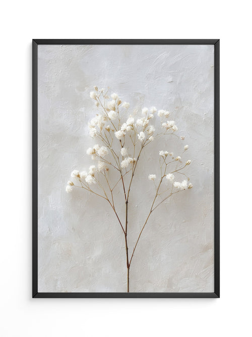 Weiße Trockenblumen Textur